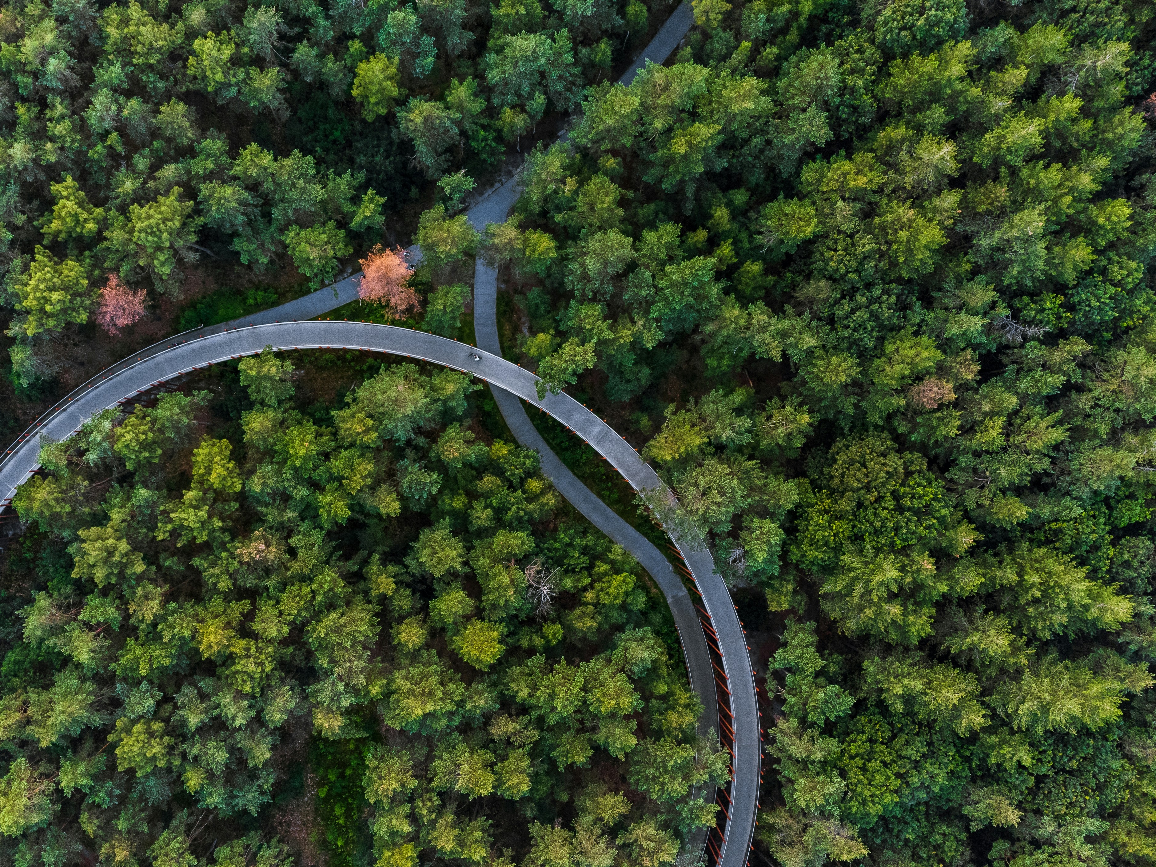 Circular economy: From challenge to progress (test)